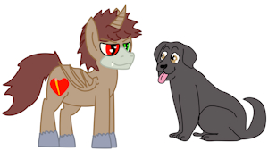 5270069_orchua_bdr.png