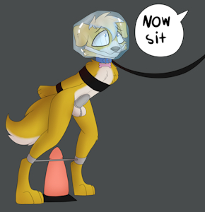 Sit puppy