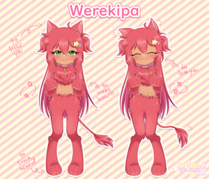 5270240_Kipaki_werekipa.png