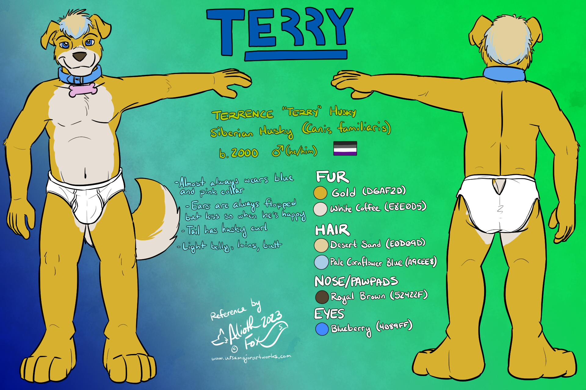 5270296_terrypup_terry_plain.png