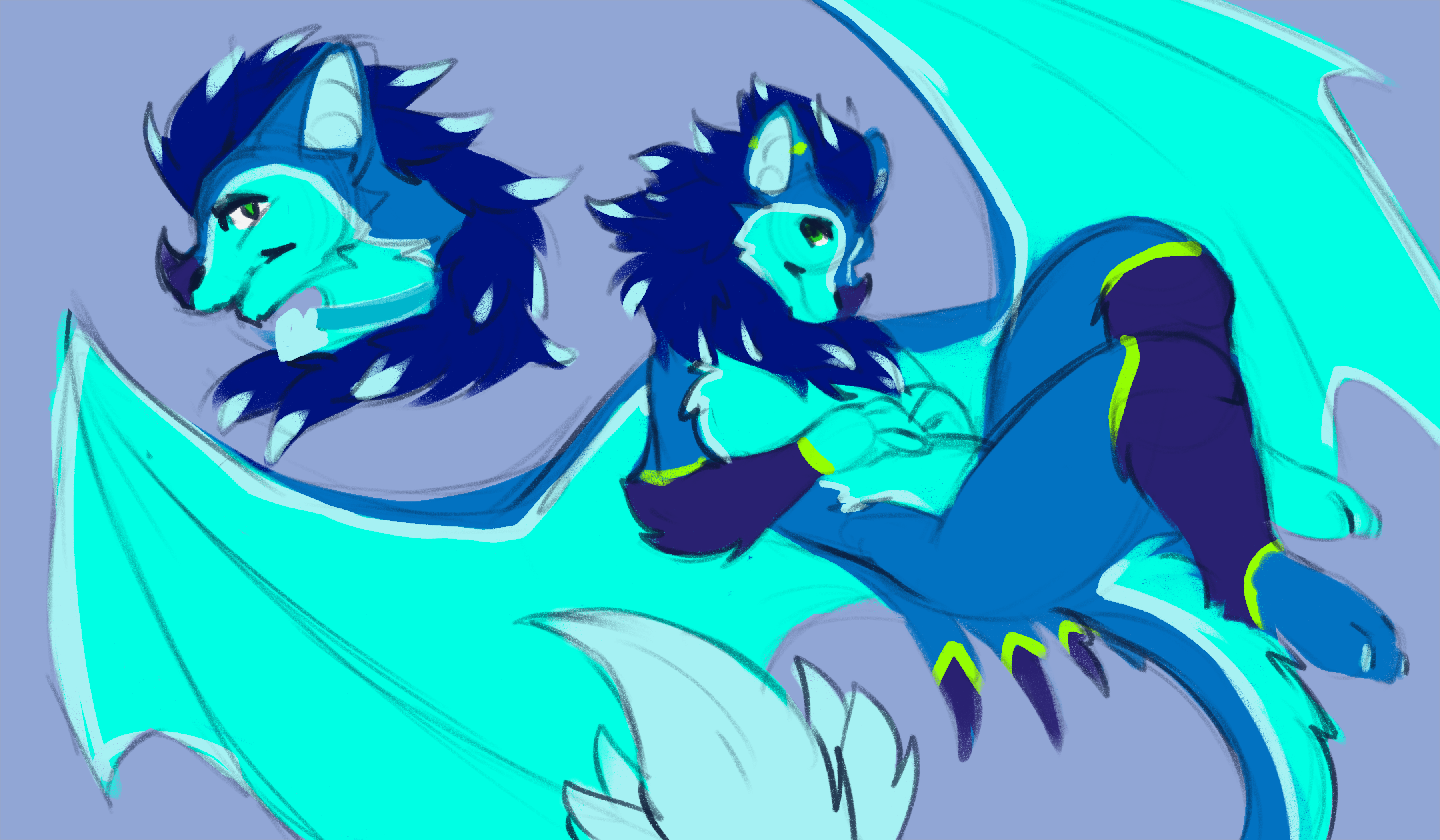 5270327_Zeith__.png