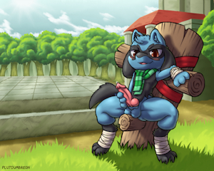 Commission for SolFlint