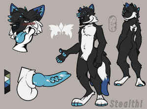 Stealthi Reference Sheet - NSFW