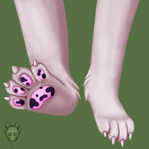 Jackalope Paws