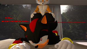 Tails x Shadow