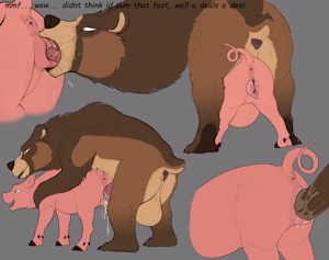 Bear Porking Color