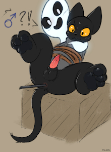silly halloween cat