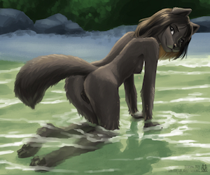 August 24 Substar: Creek Wolf