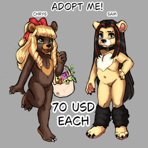 ADOPTABLES: Cute Bears!