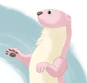 Baruru - Magic Otter