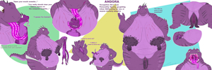 Andora