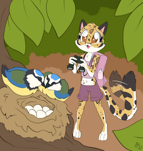 *C*_Birdwatcher