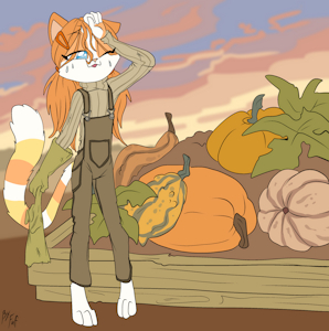 *C*_Candy's pumpkin patch