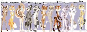 *ADOPTABLES*_Geckolors