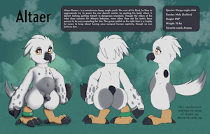 5297312_ZekLullaby_altaer_crop_web.png