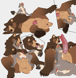 Servicing A Bear Color
