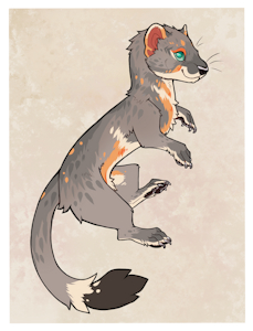 Outlaw The Weasel Ref