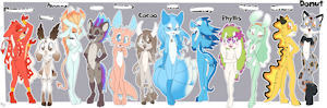 *C*_Nudibranchy batch