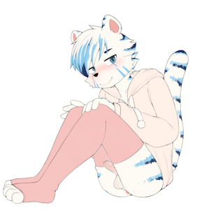 5307704_ROO310_241118_02.png
