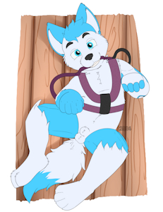Express commissions (November)