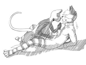 NNN YCH