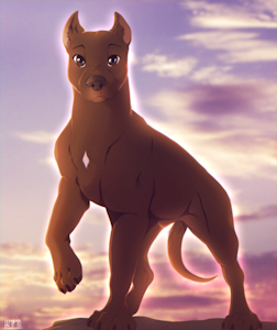 Favorite dog