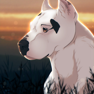 Pit