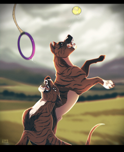 Playtime