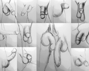 Sketchy Peens [rough sketches]