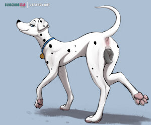 Perdita + used version