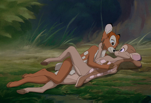 Affectionate Fawns