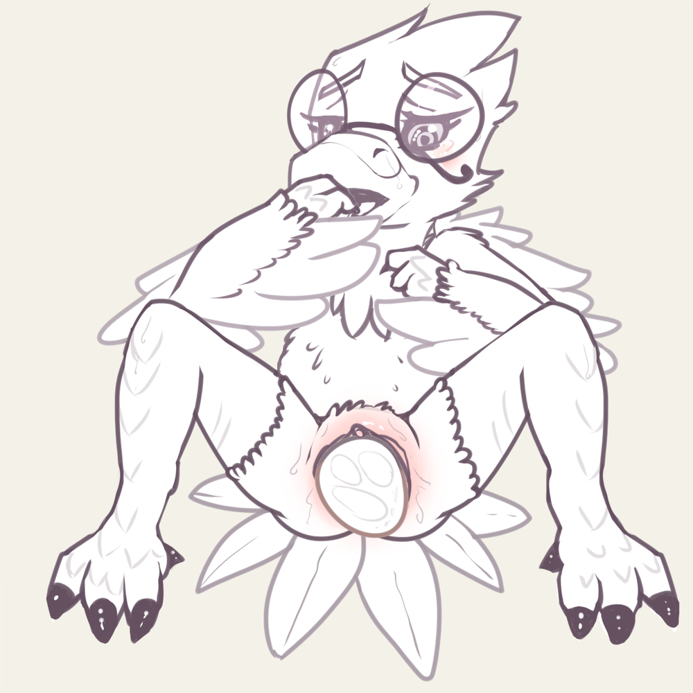 5340694_maverick_maverick-sk19-birb1.png