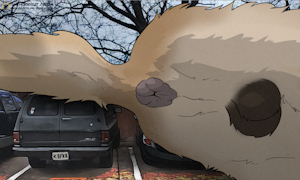 Big Dog On Car