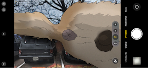 Big Dog On Car
