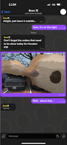 Big Dog On Car