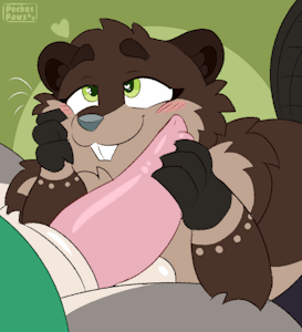 5346053_PocketPaws_4_baz_nocum.gif