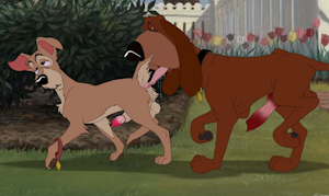 Licks and Tricks