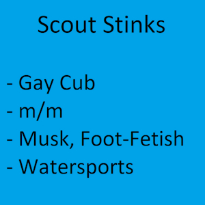 Scout Stinks