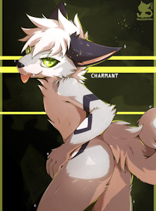IA251 - Charmant