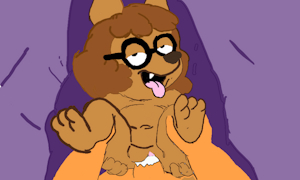 5357104_Beaksfreak101_untitled673_20241221192743.png