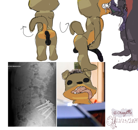 5357307_croqdile_luigi.png
