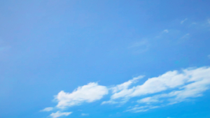 5357341_Ramziez_charastudio-2024-12-24-03-34-48-render.png