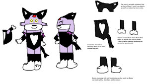 Blaze The Cat's Black Cat Costume Reference