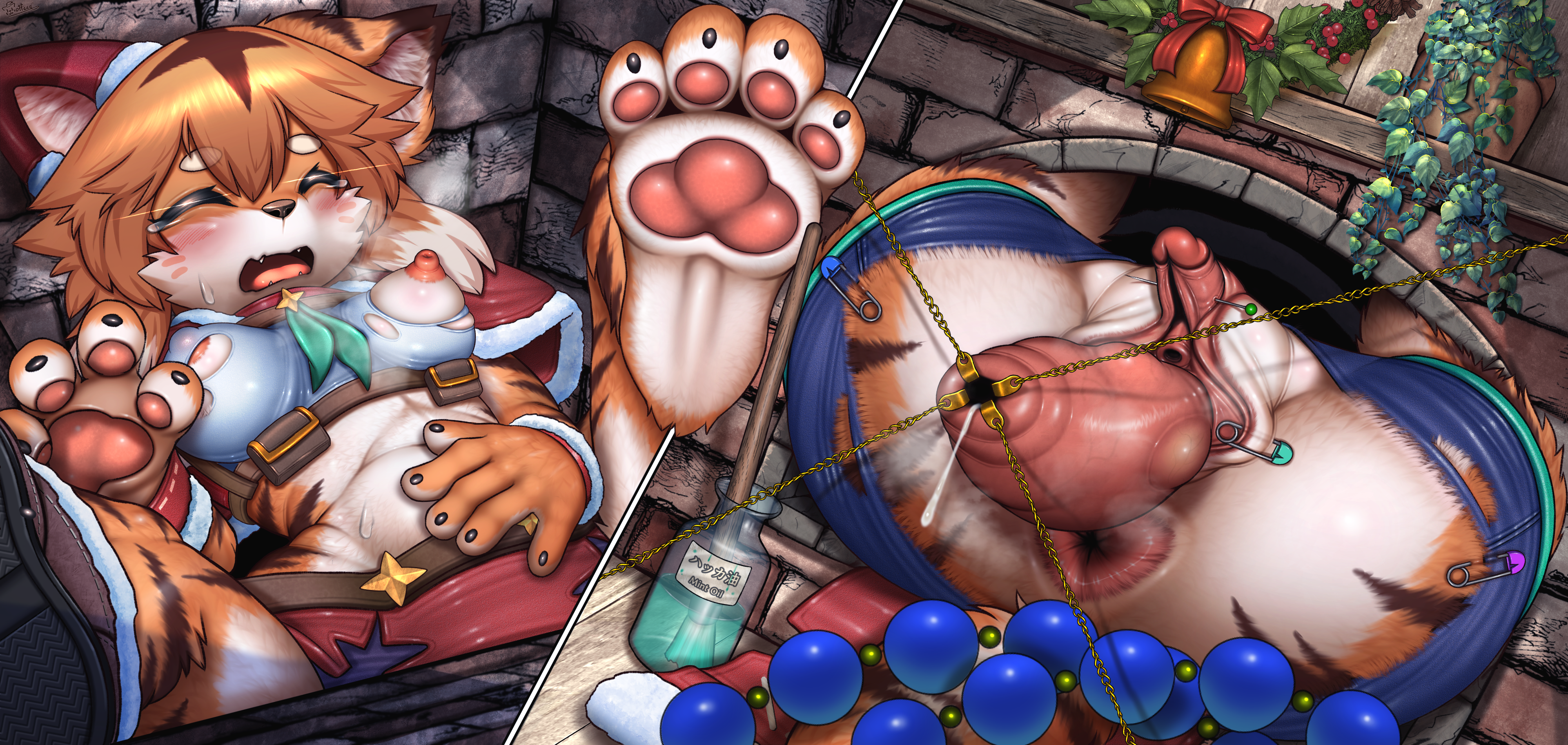 5357874_Wolfeed_1212mia-xmas-nc-ne_012.png