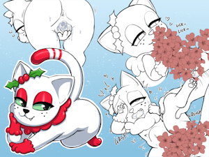 Peppermint Cat!
