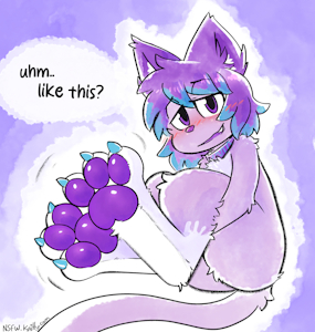 Kaittypaws