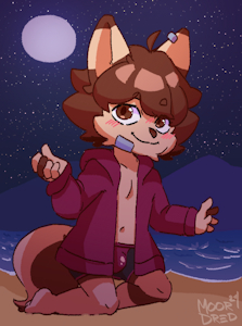 beach night