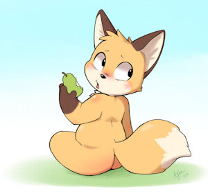 Little Fox