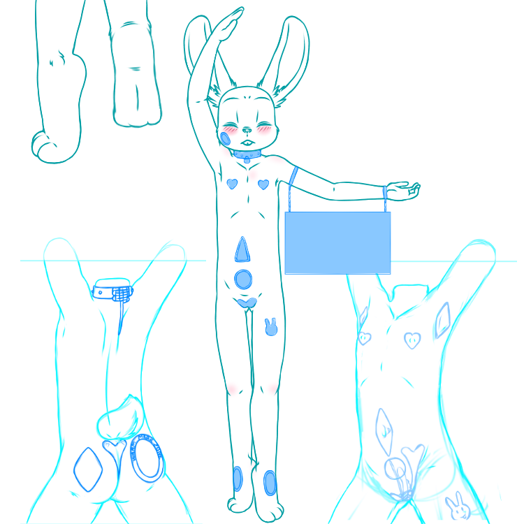 5371644_YacteruC1_export1735684045964.png