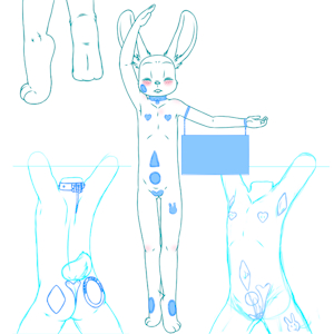 5371644_YacteruC1_export1735684045964.png